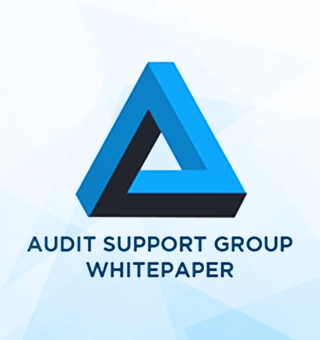 Audit Support Group