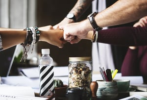 Managing business of risk fraud