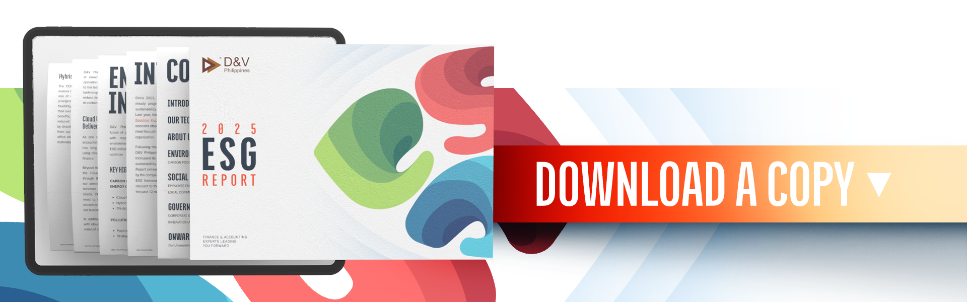 DV_ESG_Baseline Report_2025_Promo_Button