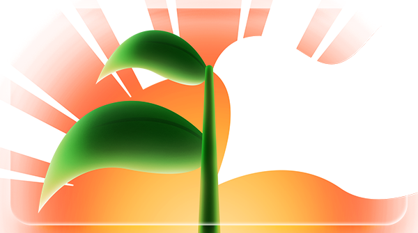 1st Sustainability Challenge | D&V Philippines