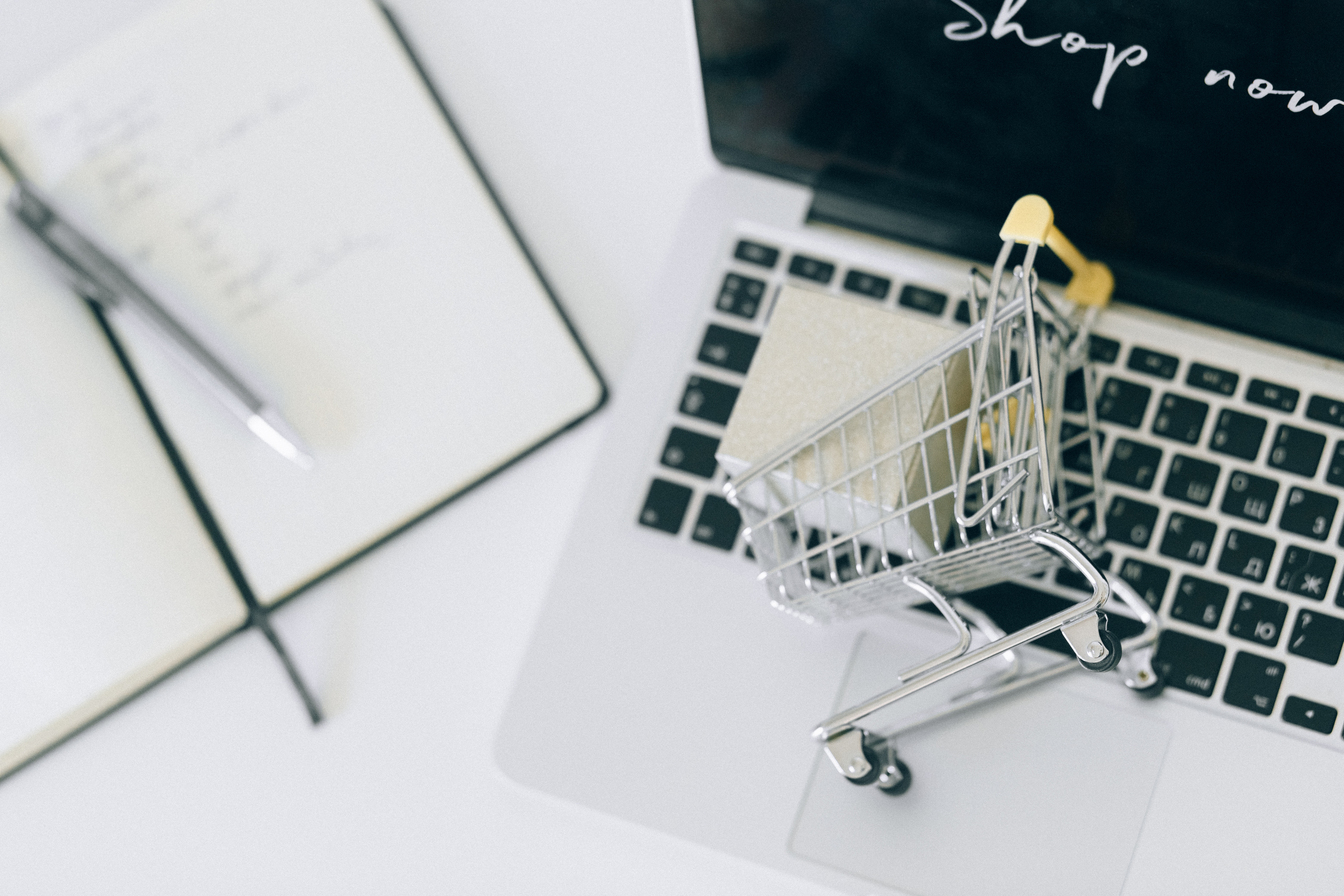 choosing an ecommerce platform for small business